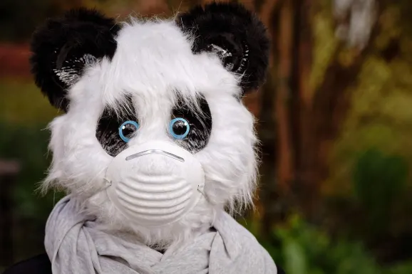 SlotsWin Casino Stuðningur